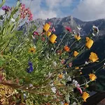 Bellevue * Ramsau am Dachstein