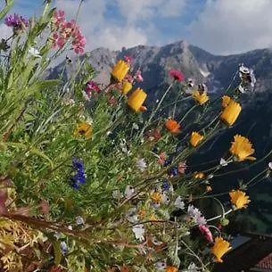 Landhaus Bellevue * Ramsau am Dachstein